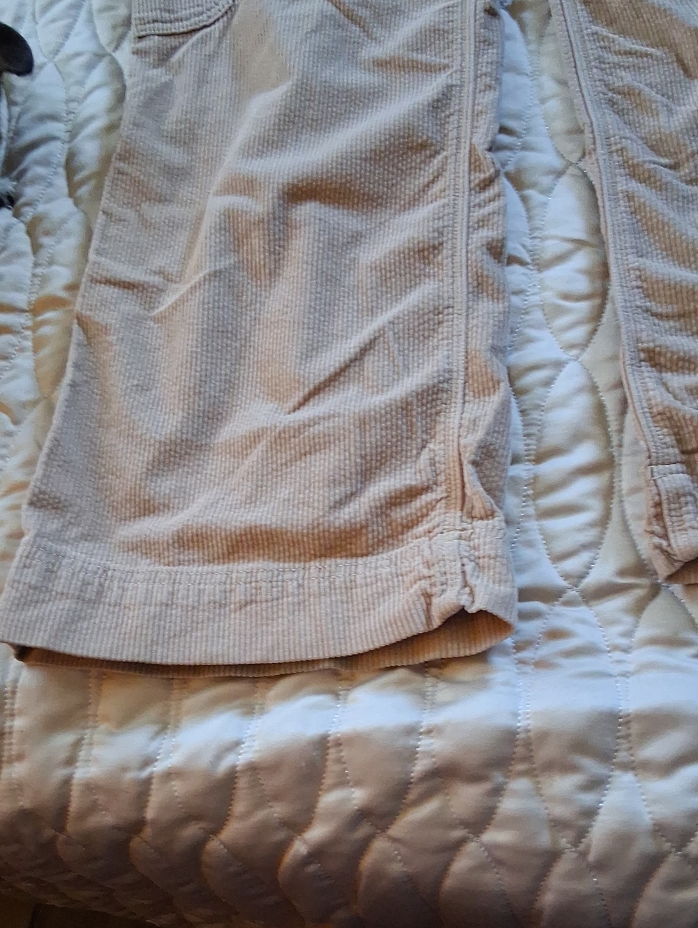 Corduroy Cargo Pants in Light Beige - Picture 3 of 9